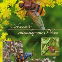 Okładka broszura - Ciekawostki entomologiczne Puław.jpg