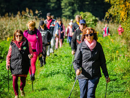 Rajd Nordic Walking fundacji BezMiar